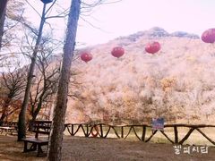 -龙道沟景区