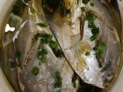清蒸吕四小鲳鱼-南八仙·老上海味道(南京东路店)