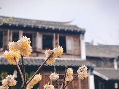 -黎里古镇