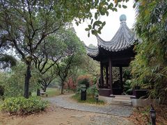 -南沙蒲洲花园