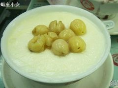 莲子双皮奶（冻）-义顺牛奶公司