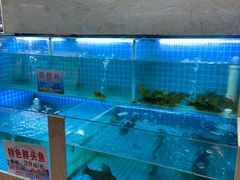 -肖记公安牛肉鱼杂馆· 省级非物质文化遗产(仁和路店)