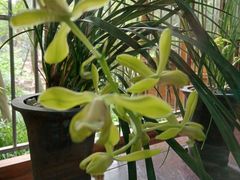 -上海植物园·停车场