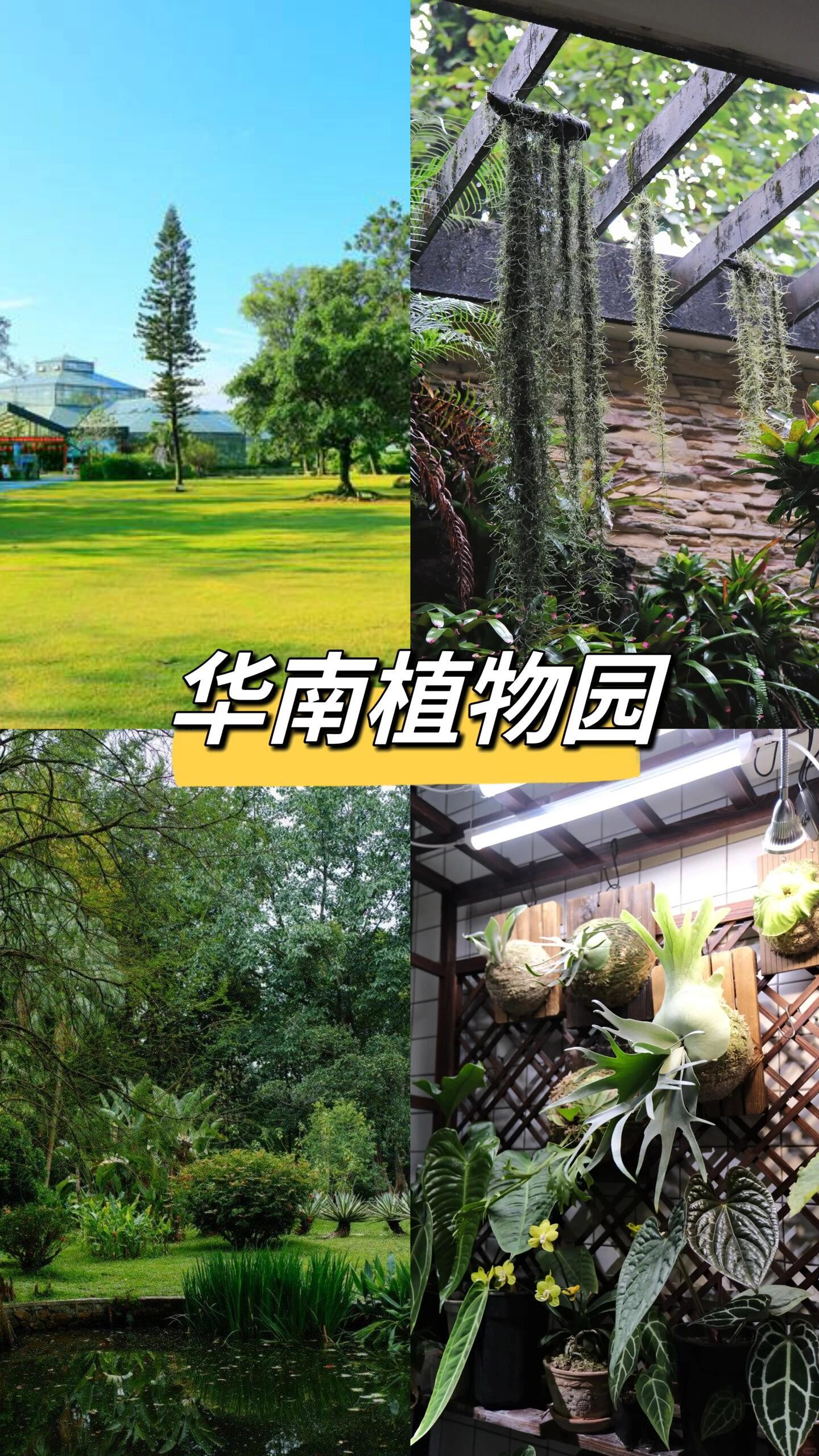 https://qcloud.dpfile.com/pc/5E6Dni8j6O-ni34shI70rSeoju934TvGE1qq6u4ywuoHXs3LFiqtPhfmodSi6nFaY0q73sB2DyQcgmKUxZFQtw.jpg