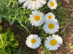 -快活林烧烤(红新路店)