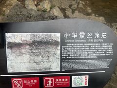 -梭布垭石林景区