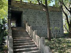 -嘉定紫藤园