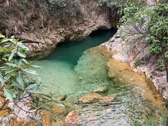 -南海湾森林生态园