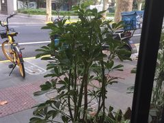 -五观堂素食(新华路店)