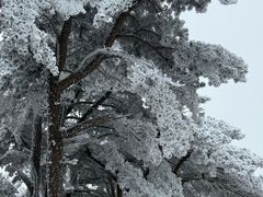-安吉龙王山风景区