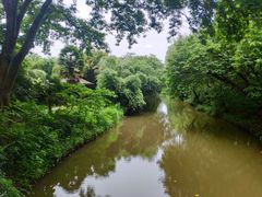 -同里国家湿地公园