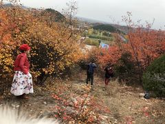 -网易食堂