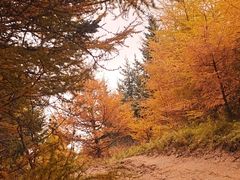 -芦芽山旅游度假区