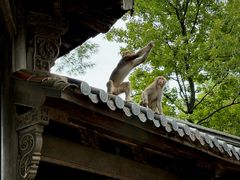 -千岛湖东南湖区