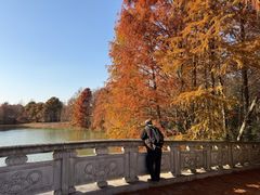 -上海海湾国家森林公园