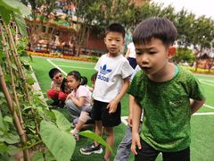-高娃幼儿园