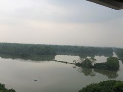 -大湾区中央湿地公园
