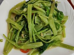 -富来美食