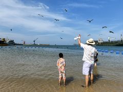 -海驴岛(荣成市)