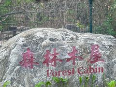 -林栖谷森林康养度假区