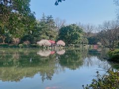 -杭州植物园