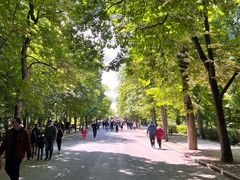 -丽池公园