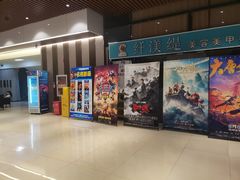 -华美国际影城(旧宫永辉店)