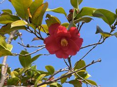 -宁波富邦荪湖山庄