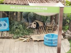 -大连森林动物园