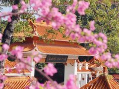 -深圳市中科院仙湖植物园