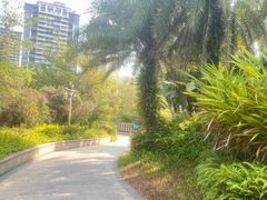 -碧桂园润杨溪谷温泉酒店