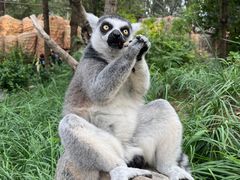 -北京野生动物园