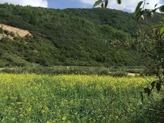 -官滩沟风景区