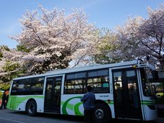 -上海南浦大桥长途旅游客运站