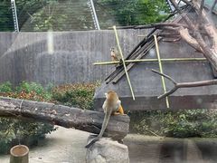 -上方山森林动物世界