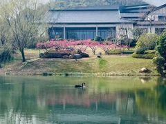 -雅达·阳羡溪山小镇中心