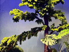 -龙井御庄·精致江南菜(龙井店)