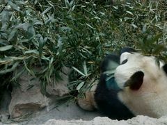 -北京动物园