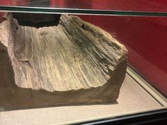 -南越王博物院(王宫展区)