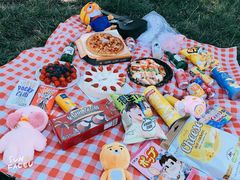 -天津武清北运河郊野公园房车露营地