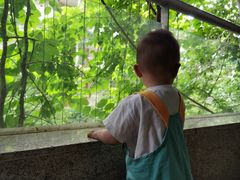 -三英温泉度假酒店-自助餐厅