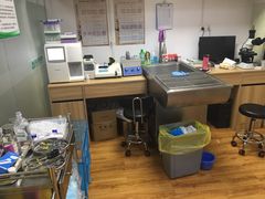 -诺比宠物医院心脏内科·泌尿肾内外科·骨科急重症