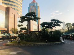 -上海市东方医院(总院)