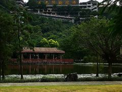 -顺峰山公园
