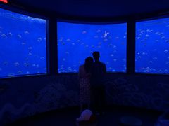 -沈阳海洋探索中心