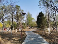 -回龙观体育文化公园
