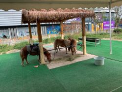 -萌宠亲子动物乐园(槐房万达店)