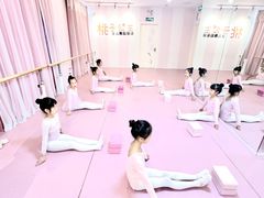 -桃子公主舞蹈培训(万柳校区)
