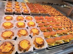 -喜莲娜动物奶油生日蛋糕(箭盘店)