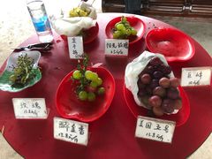 -马陆小张葡萄园农家乐